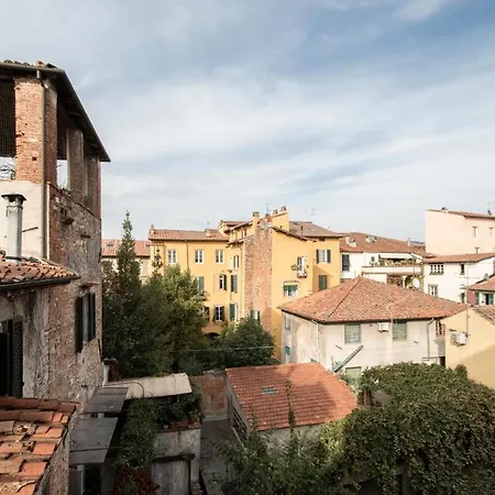 Augusto's Lucca